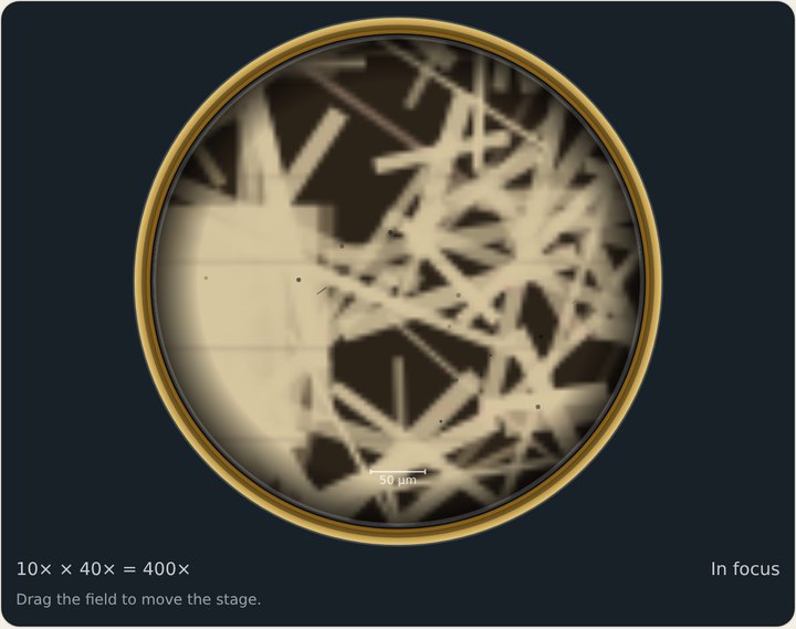 The e at 40x, sharp: paper fibers.
