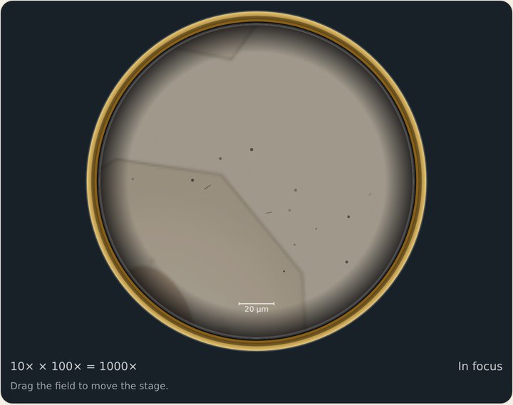 Dim, soft view at 100x without oil.