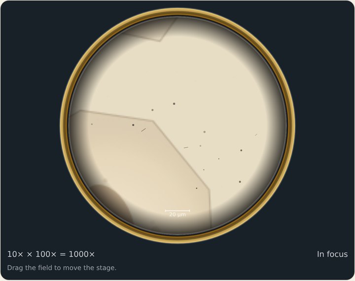 Brighter view with oil: the host cells.