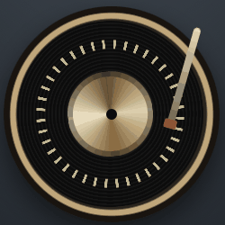 The record on the platter.
